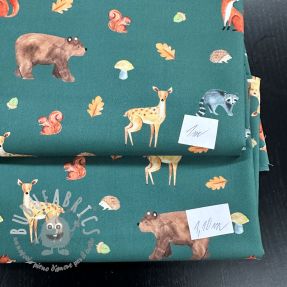 Last pieces package Tessuto di cotone 4678