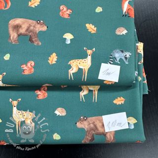 Last pieces package Tessuto di cotone 4678