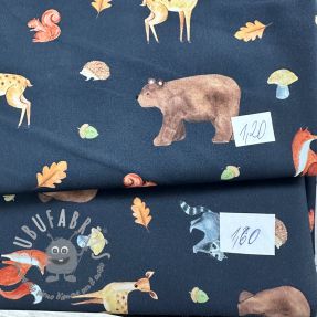 Last pieces package Tessuto di cotone 4679