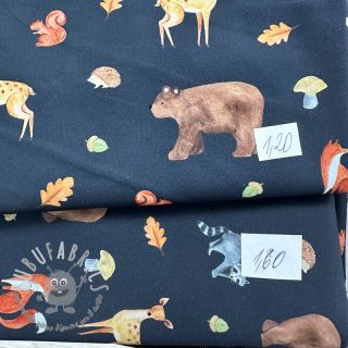 Last pieces package Tessuto di cotone 4679