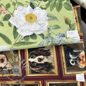 Last pieces package Tessuto decorativo 1464