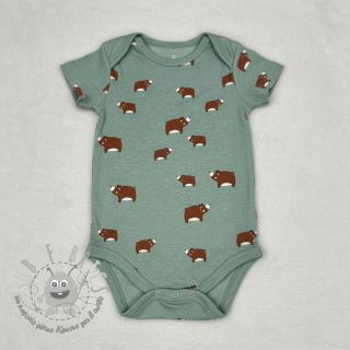 Jersey Bears dark mint melange