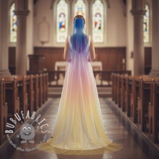 Tulle per TUTU Rainbow design C