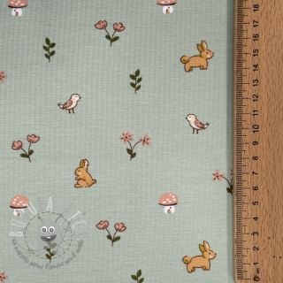 Jersey Bunnies sage ORGANIC