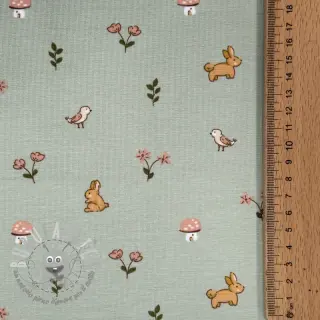 Jersey Bunnies sage ORGANIC