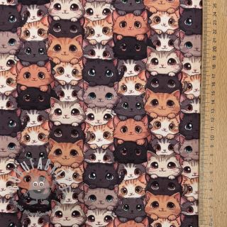 Jersey Cats digital print