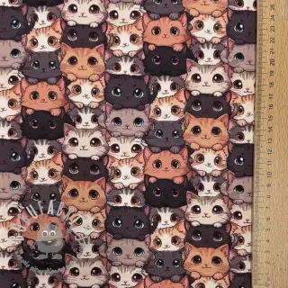 Jersey Cats digital print