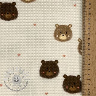 Cotone a nido d'ape Bears digital print