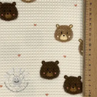Cotone a nido d'ape Bears digital print
