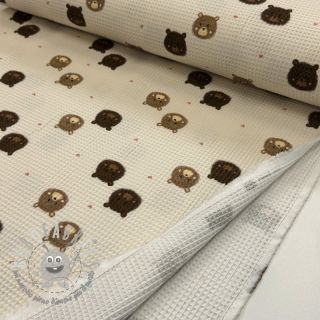 Cotone a nido d'ape Bears digital print