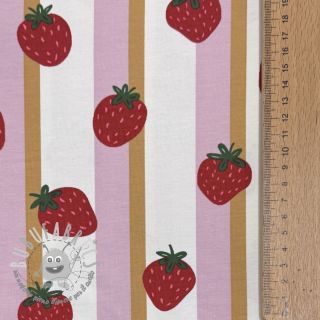 Jersey Fruits Strawberry white