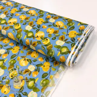 Viscosa RAYON POPLIN Fruity design A