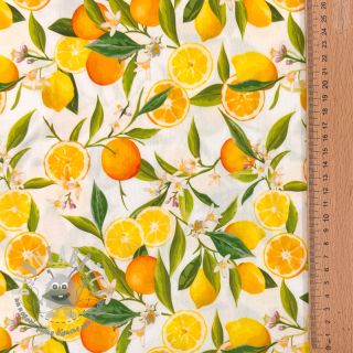 Viscosa RAYON POPLIN Fruity design D