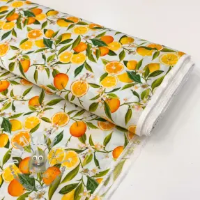 Viscosa RAYON POPLIN Fruity design D