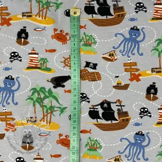 Jersey Pirates island light grey ORGANIC