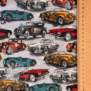 Felpa garzata Old cars grey digital print