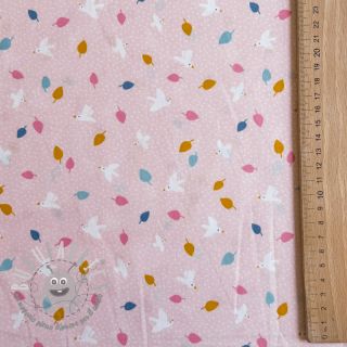 Tessuto di cotone Little birds powder