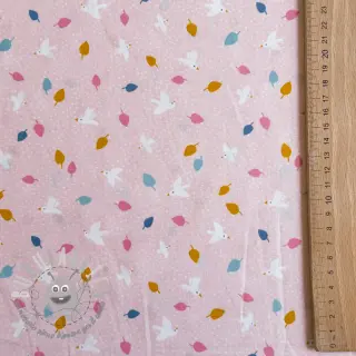 Tessuto di cotone Little birds powder