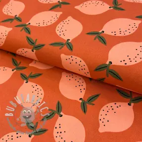 Tessuto decorativo Fruits design F
