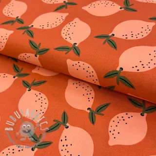 Tessuto decorativo Fruits design F