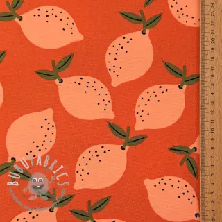 Tessuto decorativo Fruits design F