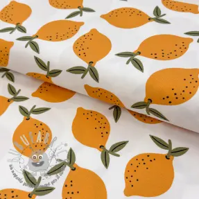 Tessuto decorativo Fruits design E