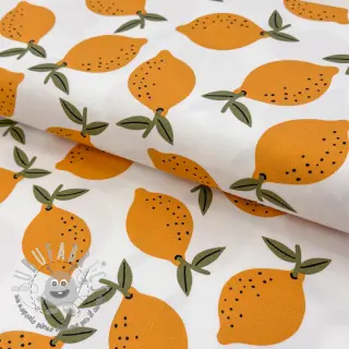 Tessuto decorativo Fruits design E