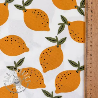 Tessuto decorativo Fruits design E