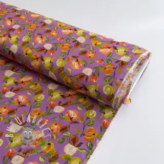 Viscosa RAYON POPLIN Fruity design C