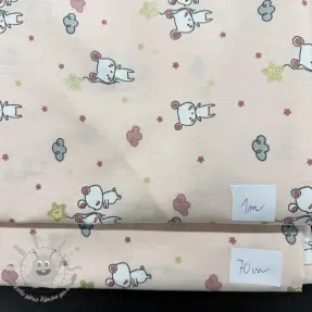 Last pieces package Tessuto di cotone 4802