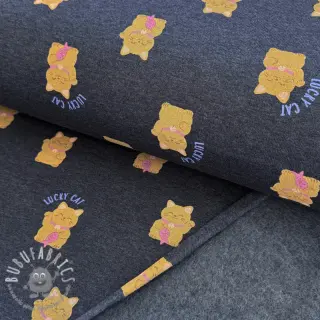 Felpa garzata Lucky cat navy melange