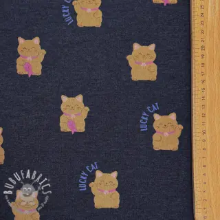 Felpa garzata Lucky cat navy melange