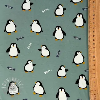 Jersey Penguins sage digital print