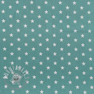 Tessuto di cotone Petit stars fresh sage