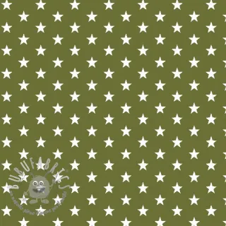 Tessuto di cotone Petit stars green