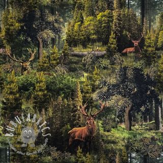 Tessuto decorativo Ancient forest digital print