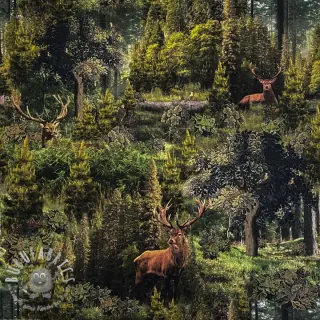 Tessuto decorativo Ancient forest digital print