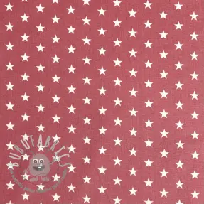 Tessuto di cotone Petit stars blush