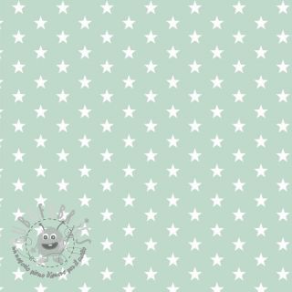 Tessuto di cotone Petit stars mint