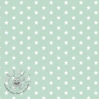 Tessuto di cotone Petit stars mint