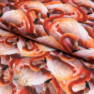 Tessuto decorativo Flamingo parade digital print