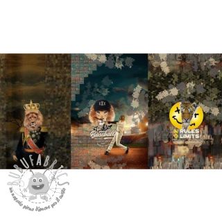 Felpa Rules limits PANEL digital print