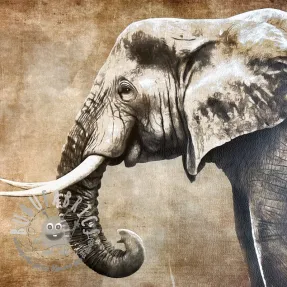 Ecopelle KARIA Elephant PANEL