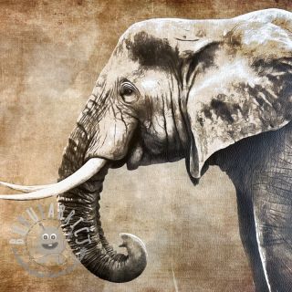Ecopelle KARIA Elephant PANEL