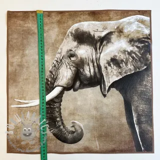 Ecopelle KARIA Elephant PANEL