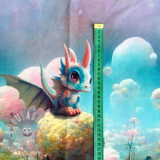 Felpa garzata Baby dragon PANEL digital print