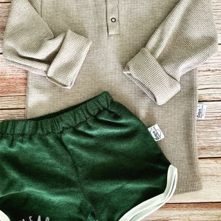 Spugna elastica dark green