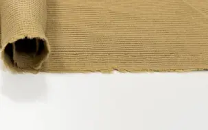 RIB