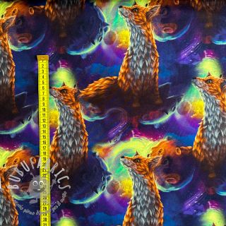 Felpa Fantasy planets digital print