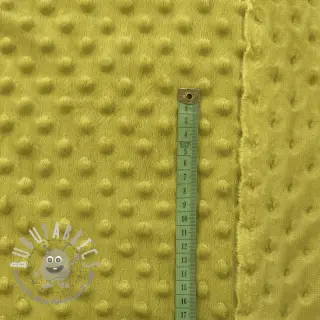 Minky light green